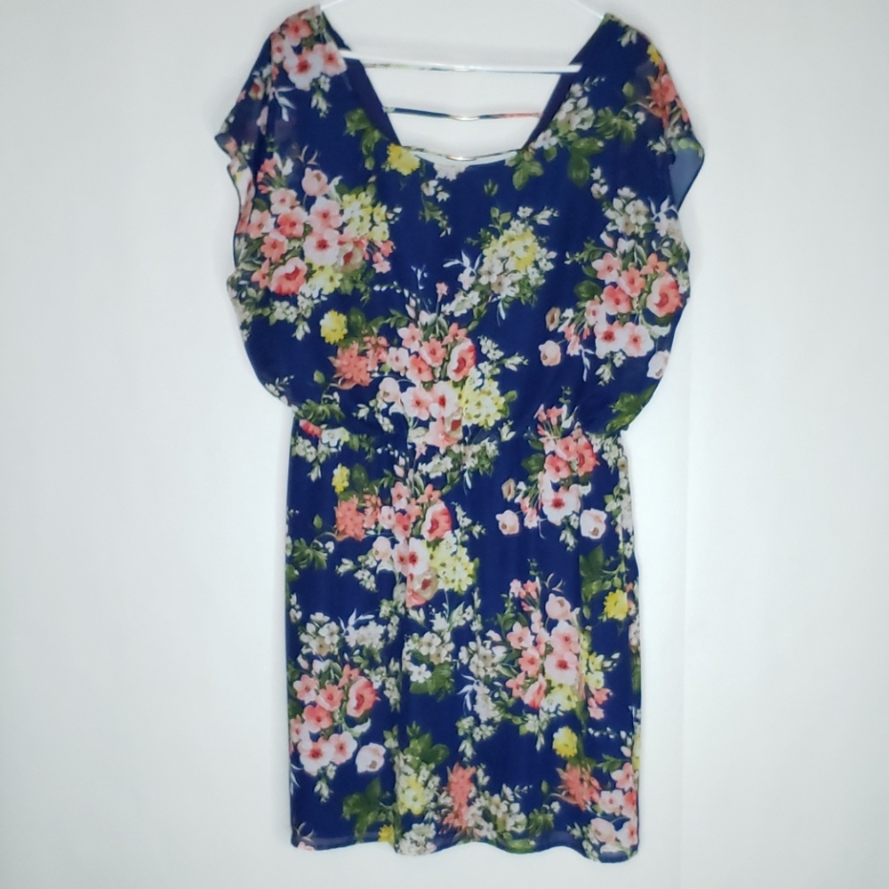 Floral Dress 1X